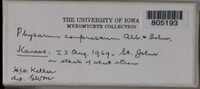 Image Associated With the Occurence